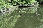 DSC_6924.JPG